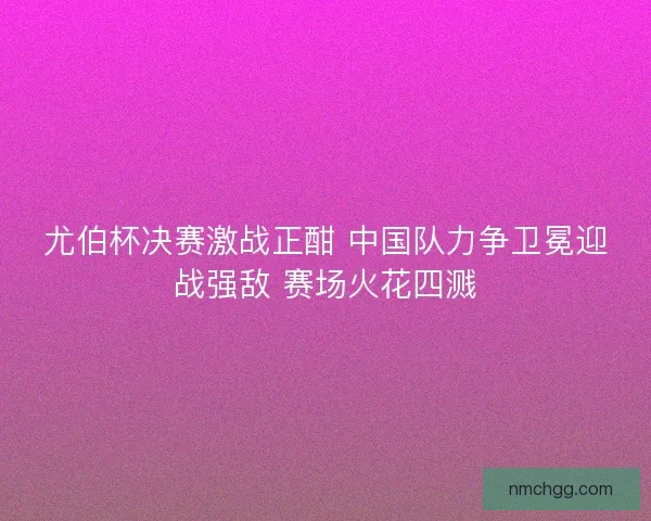 尤伯杯决赛激战正酣 中国队力争卫冕迎战强敌 赛场火花四溅 尤伯杯决赛激战正酣 中国队力争卫冕迎战强敌 赛场火花四溅